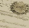 تعداد نمايش: 4587 بار