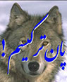 تعداد نمايش: 4379 بار