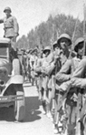 تعداد نمايش: 254 بار